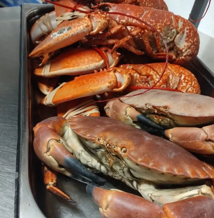 Fresh crab and lobster