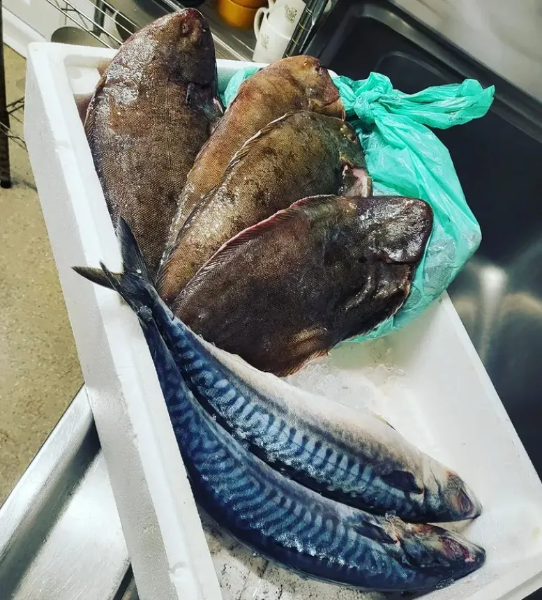 Fresh fish