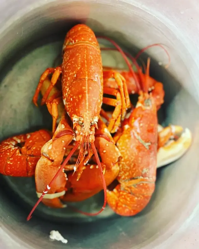 Prawns